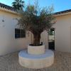 Viveros Sepúlveda  Vivero En Marbella  Garden Center Marbella