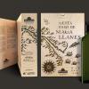 Diseño, ilustración y maquetación caja de aceites AVOEs conmemorativas 