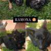 ramona