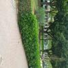 Jardineria Fran