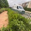 Jardineria Fran