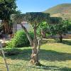 Jardineria Fran