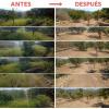 Jardinero Agricultor