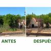 Desbroce de campos