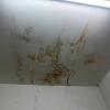 Pinturas Palacios