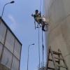 Reformas Y Pintura Elmer