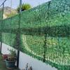 Pintura Vicente