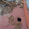 Antes 1