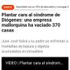 Vaciados La Talalla