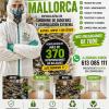 Vaciados La Talalla