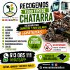 Vaciados La Talalla