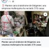 Vaciados La Talalla