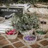 Wedding Planner Madrid Madison Park
