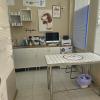 Veterinario Benidorm Love Paws