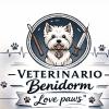 Veterinario Benidorm Love Paws