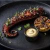 Grilled octopus