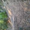 Desbroce