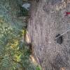Desbroce