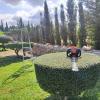 Jardineria Y Mantenimiento De Piscinas