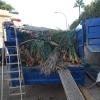 Jardineria Y Mantenimiento De Piscinas