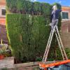 Jardineria Y Mantenimiento De Piscinas