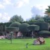 Jardineria Y Mantenimiento De Piscinas