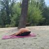 Clases De Yoga Para Principiantes  Yoga Online Y Presencial