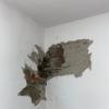 Desatasco Fontanero Y Bricolaje