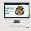 Seo En Un Click