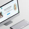 Seo En Un Click
