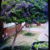 Limpieza Y Jardinería Andres Alba