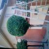 Limpieza Y Jardinería Andres Alba