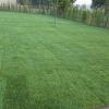 Agrosam