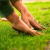 Servicios De Jardinería Pamplona
