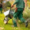 Servicios De Jardinería Pamplona