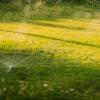 Servicios De Jardinería Pamplona