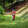 Servicios De Jardinería Pamplona