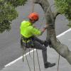 Servicios De Jardinería Pamplona