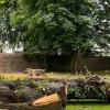 Servicios De Jardinería Pamplona