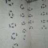 Reformas De Baños Y Pladur