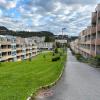 Mantenimiento De Jardines Pamplona