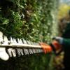 Mantenimiento De Jardines Pamplona
