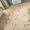 Construcciones Alex