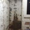Construcciones Alex