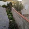 Carlos Amaral Obras Y Servicios