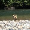Leo, recrescandose en el rio