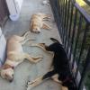 Descansando de la caminata del monte