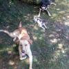 Kyra, Baby y Sayri