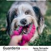 Guarderia canina