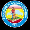 CCE  acreditación 